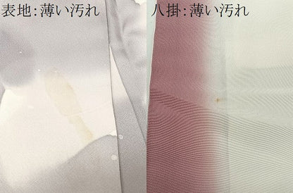 平和屋着物■上質な小紋　葡萄蔦の葉文　暈し染め　正絹　逸品　CABM6596ua