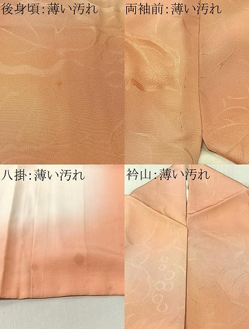 平和屋着物■上質な小紋　葡萄蔦の葉地紋　暈し染め　正絹　逸品　CABM6602ua