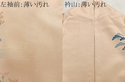 平和屋着物■訪問着　飛鶴風景文　正絹　逸品　CABM6644ua