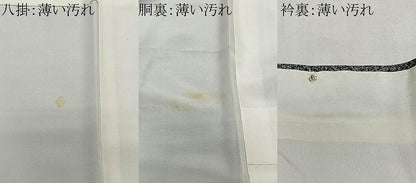 平和屋着物■訪問着　風景文　たたき染め　金彩　正絹　逸品　CABM6664ua