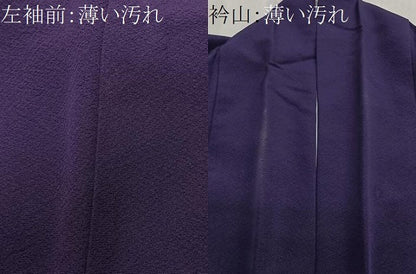 平和屋着物■訪問着　総刺繍　流水草花文　金糸　正絹　逸品　CABM6670ua