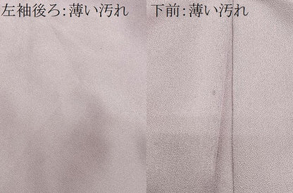 平和屋着物■訪問着　雲取り孔雀花文　正絹　逸品　CABM6691ua