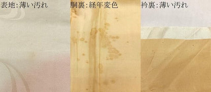 平和屋着物■豪華振袖　総刺繍　駒刺繍　草花文　暈し染め　金彩　正絹　逸品　CABM6761ua