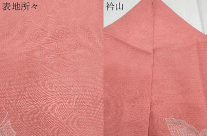 平和屋着物＊夏物　江戸小紋　絽　舞蝶文　正絹　逸品　CABM7312th