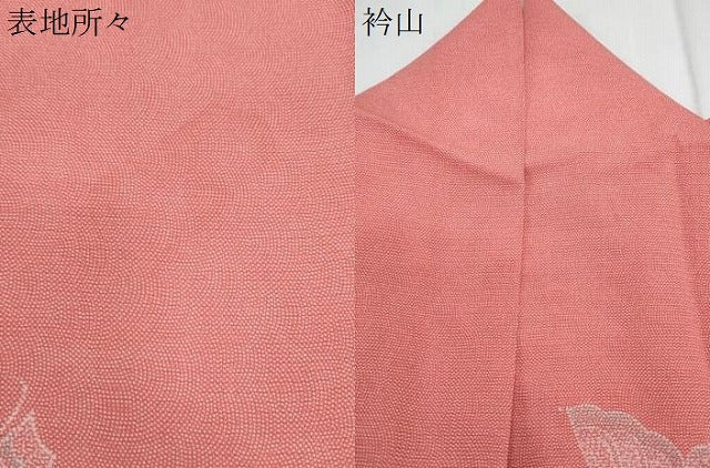 平和屋着物＊夏物　江戸小紋　絽　舞蝶文　正絹　逸品　CABM7312th