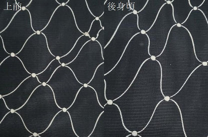 平和屋着物＊夏物　小紋　絽　抽象紋様　黒地　正絹　逸品　CABM7314th