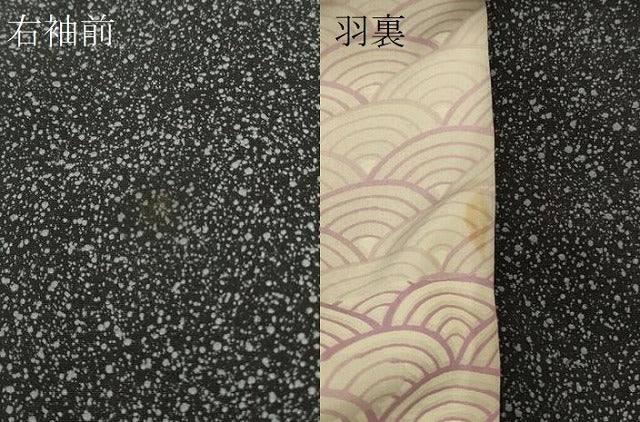 平和屋着物＃羽織　枝葉文　たたき染め　黒地　金糸　正絹　逸品　CABM8077in