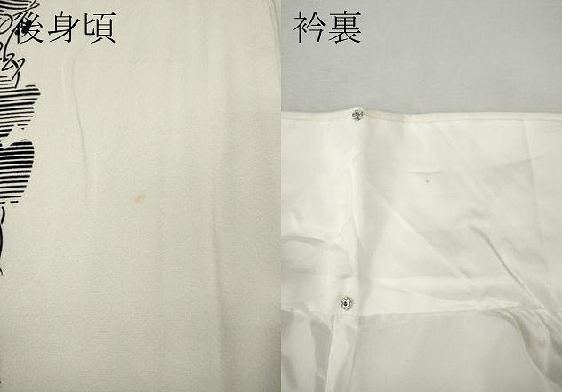 平和屋着物●訪問着　葡萄蔦の葉間道　正絹　逸品　CABM9351ut