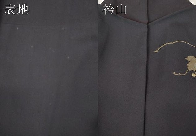 平和屋着物●訪問着　竹屋町刺繍　地紙花鳥文　暈し染め　金彩　鈴乃屋扱い　正絹　逸品　CABM9431ut