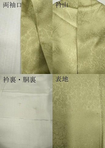 平和屋着物●色留訪問着　刺繍　乱菊　暈し染め　金彩　正絹　逸品　CABM9446ut