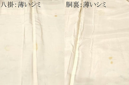 平和屋着物■訪問着　芒草花文　暈し染め　鬼しぼ縮緬　正絹　逸品　CABN1204ev