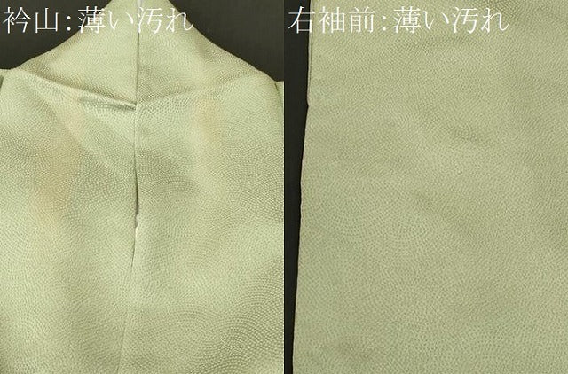 平和屋着物■豪華色留袖　駒刺繍　菊　草花文　金彩　正絹　逸品　CABN1231ev