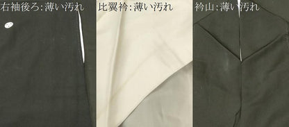 平和屋着物■豪華黒留袖　御所解文　暈し染め　金彩　正絹　逸品　CABN1293ev