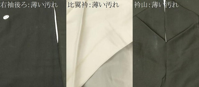 平和屋着物■豪華黒留袖　御所解文　暈し染め　金彩　正絹　逸品　CABN1293ev
