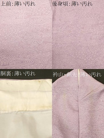 平和屋着物■江戸小紋　御所解文様　ロング丈　正絹　逸品　CABN1340ev