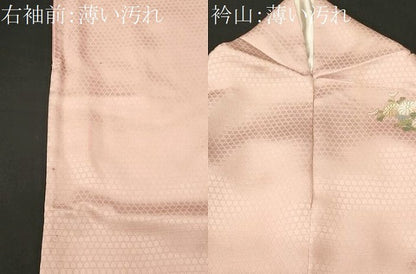 平和屋着物■訪問着　御所解文　暈し染め　金彩　正絹　逸品　CABN1343ev