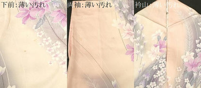 平和屋着物■上質な小紋　羽　草花文　暈し染め　正絹　逸品　CABN1370ev