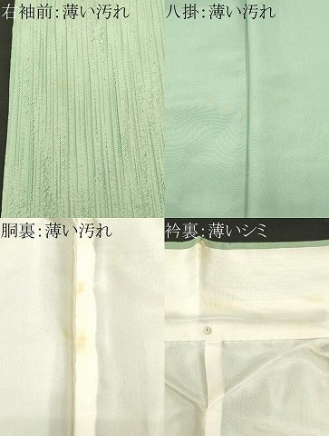 平和屋着物■上質な色無地　縞　夏虫色　正絹　逸品　CABN1374ev