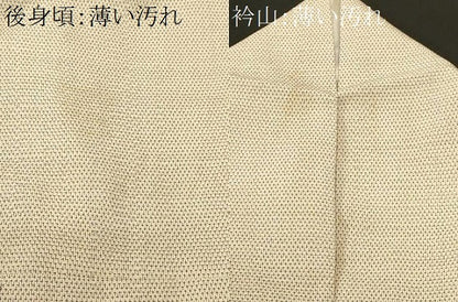 平和屋着物■本塩沢　十字絣　ますいわ屋扱い　正絹　逸品　CABN1376ev