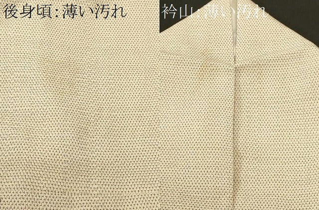 平和屋着物■本塩沢　十字絣　ますいわ屋扱い　正絹　逸品　CABN1376ev