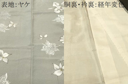 平和屋着物■訪問着　舞花文　正絹　逸品　CABN1392ev