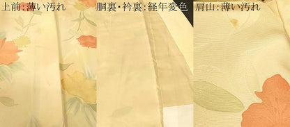 平和屋着物■上質な小紋　地紋起こし　草花文　暈し染め　正絹　逸品　CABN1404ev