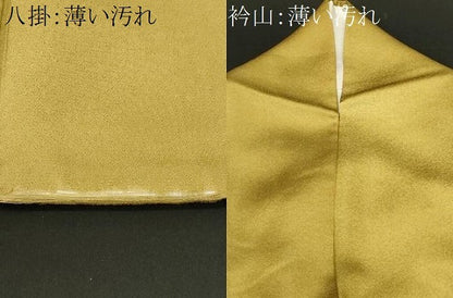 平和屋着物■訪問着　枝花文　暈し染め　金彩　正絹　逸品　CABN1506ev