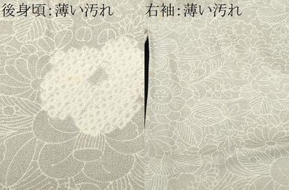 平和屋着物■上質な小紋　草花文　正絹　逸品　CABN1519ev