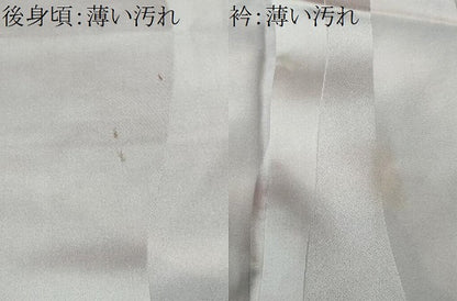 平和屋着物■上質な小紋　舞花間道　暈し染め　さが美扱い　正絹　逸品　CABN1559ev