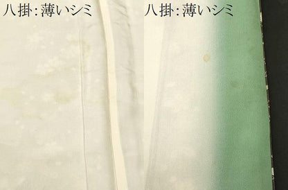 平和屋着物■上質な小紋　松竹梅雪輪花間道　暈し染め　金彩　正絹　逸品　CABN1586ev