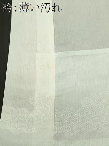 平和屋着物■長襦袢　無双仕立て　雲取り吉祥文　暈し染め　半衿刺繍　洗える着物　CABN1602ev