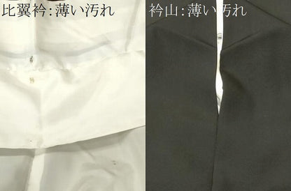 平和屋着物■豪華黒留袖　作家物　御所解文　鴛鴦　正絹　逸品　CABN1625ev