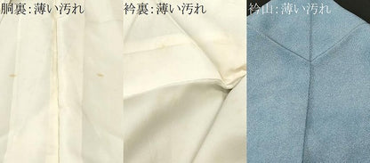 平和屋着物■江戸小紋　青海波文　正絹　逸品　CABN1641ev