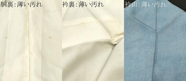 平和屋着物■江戸小紋　青海波文　正絹　逸品　CABN1641ev