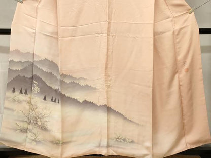 平和屋着物■訪問着　作家物　遠山草花文　暈し染め　銀彩　正絹　逸品　CABN1644ev