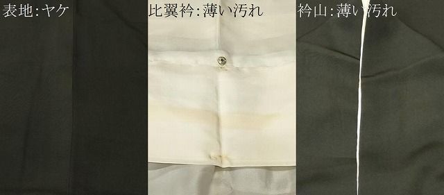 平和屋着物■豪華黒留袖　作家物　扇面尾長鳥笹梅文　暈し染め　金彩　正絹　逸品　CABN1715ev