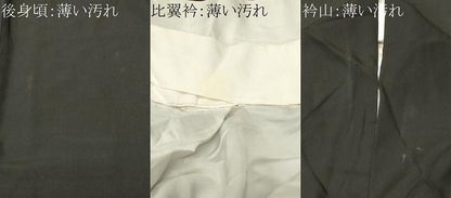 平和屋着物■豪華黒留袖　束ね熨斗雪輪飛鶴枝花文　暈し染め　金彩　正絹　逸品　CABN1799ev