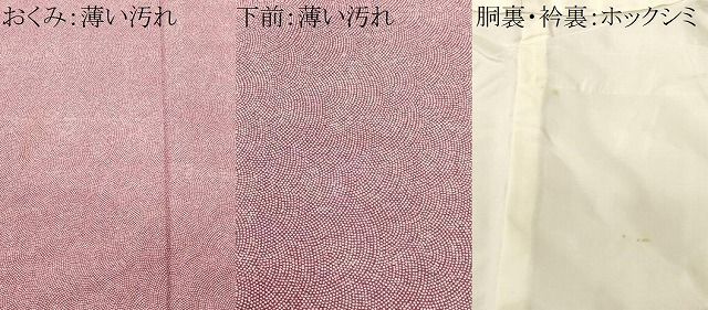 平和屋着物■江戸小紋　鮫小紋柄　正絹　逸品　CABN1831ev