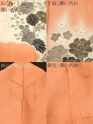 平和屋着物■訪問着　草花文　暈し染め　金彩　正絹　逸品　CABN1982ev