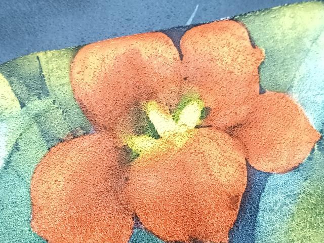平和屋着物■訪問着　手描き　草花文　正絹　逸品　CABN2002xe