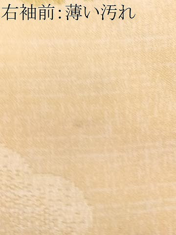 平和屋着物■上質な小紋　雲取り雪芝文　暈し染め　正絹　逸品　CABN2032xe
