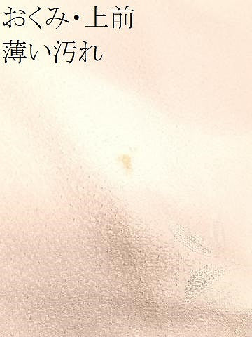 平和屋着物■上質な小紋　枝葉地紋　暈し染め　正絹　逸品　CABN2041xe