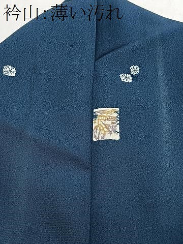 平和屋着物■上質な小紋　間道　色紙風景文　正絹　逸品　CABN2046xe