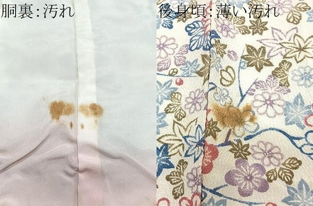 平和屋着物■上質な小紋　型染め　草花文　正絹　逸品　CABN2074xe