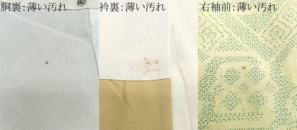 平和屋着物■上質な紬　有栖川文様　正絹　逸品　CABN2162xe