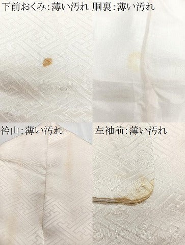 平和屋着物■訪問着　駒刺繍　絞り　雪輪草花文　金彩　正絹　逸品　CABN2167xe