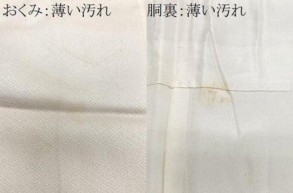 平和屋着物■訪問着　束ね熨斗吉祥花文　正絹　逸品　CABN2178xe