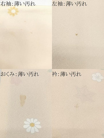 平和屋着物■訪問着　舞花文　正絹　逸品　CABN2182xe