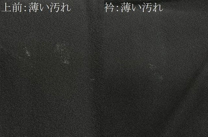 平和屋着物■豪華手描き　人物風景文　暈し染め　金彩　正絹　逸品　CABN2277xe