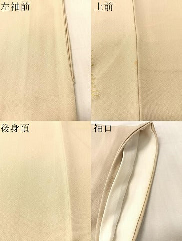 平和屋着物●豪華色留袖　駒刺繍　色紙風景花松文　暈し染め　金彩　正絹　逸品　CABN3145vp